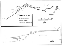 MUSS J8 Chanterelle Pot - Ingleborough